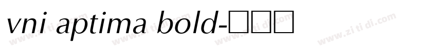 vni aptima bold字体转换